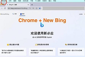 微软New Bing完美聊天机器人源码，支持ChatGPT提示词 国内可用，基本兼容微软 Bing AI 所有功能